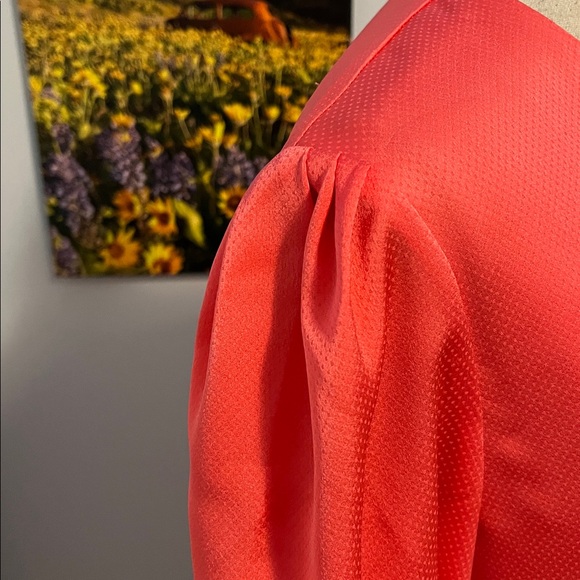 Ted Baker London Midi Dress - Picture 3 of 16